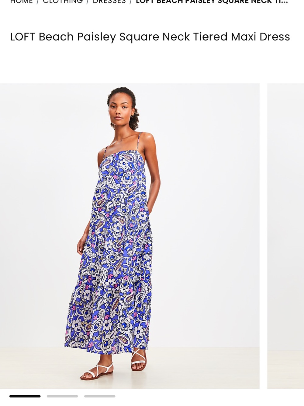 LOFT Blue Paisley Floral Maxi Dress with Spaghetti Straps - Picture 4 of 10